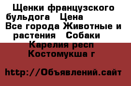 Щенки французского бульдога › Цена ­ 30 000 - Все города Животные и растения » Собаки   . Карелия респ.,Костомукша г.